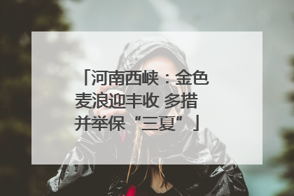 河南西峡：金色麦浪迎丰收 多措并举保“三夏”