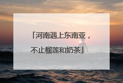 河南遇上东南亚，不止榴莲和奶茶