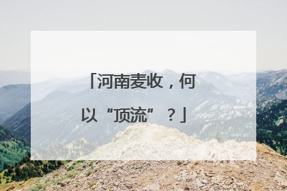 河南麦收，何以“顶流”？