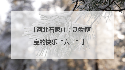 河北石家庄：动物萌宝的快乐“六一”