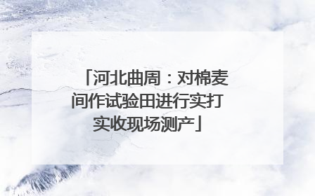 河北曲周：对棉麦间作试验田进行实打实收现场测产