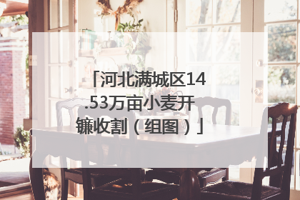 河北满城区14.53万亩小麦开镰收割（组图）
