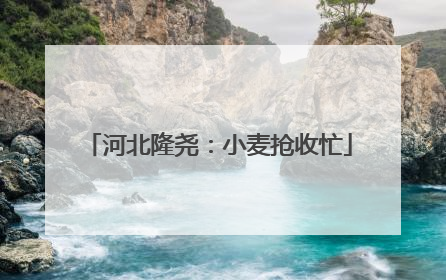 河北隆尧：小麦抢收忙