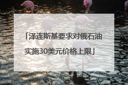 泽连斯基要求对俄石油实施30美元价格上限