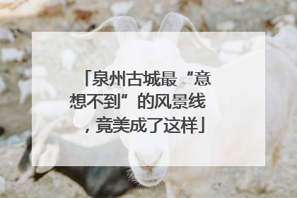 泉州古城最“意想不到”的风景线，竟美成了这样