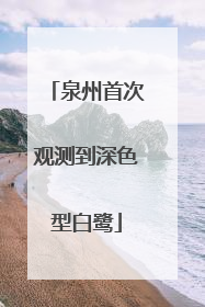 泉州首次观测到深色型白鹭