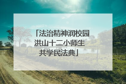 法治精神润校园 洪山十二小师生共学民法典