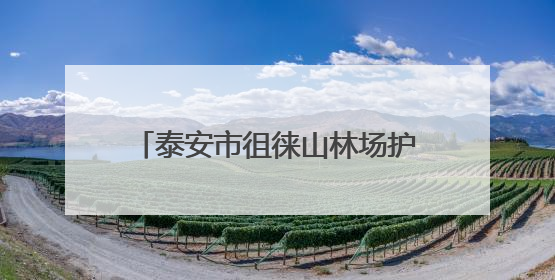泰安市徂徕山林场护林员邓兴法：37年扎根林场的绿色守护者