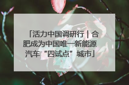 活力中国调研行｜合肥成为中国唯一新能源汽车“四试点”城市