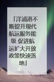 洋浦港不断提升现代航运服务能级 促进航运扩大开放政策快速落地