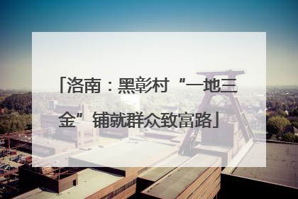 洛南：黑彰村“一地三金”铺就群众致富路