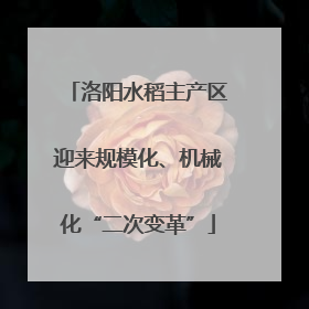 洛阳水稻主产区迎来规模化、机械化“二次变革”