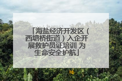 海盐经济开发区（西塘桥街道）入企开展救护员证培训 为生命安全护航