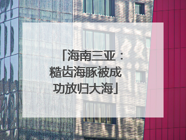 海南三亚：糙齿海豚被成功放归大海