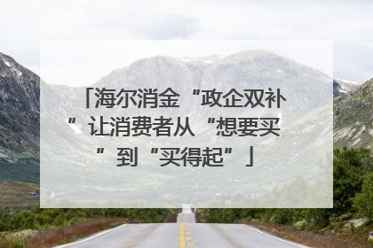 海尔消金“政企双补”让消费者从“想要买”到“买得起”