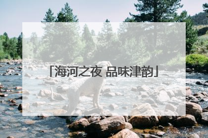 海河之夜 品味津韵