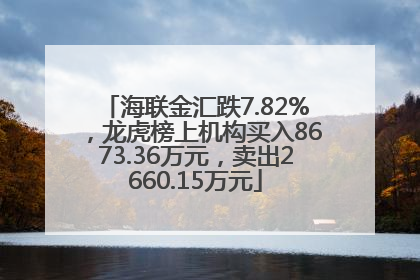 海联金汇跌7.82%，龙虎榜上机构买入8673.36万元，卖出2660.15万元