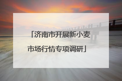 济南市开展新小麦市场行情专项调研