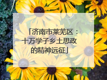 济南市莱芜区：十万学子乡土思政的精神远征