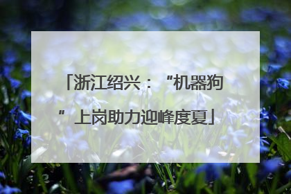 浙江绍兴：“机器狗”上岗助力迎峰度夏