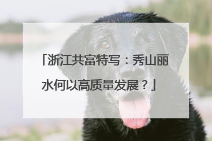 浙江共富特写：秀山丽水何以高质量发展？