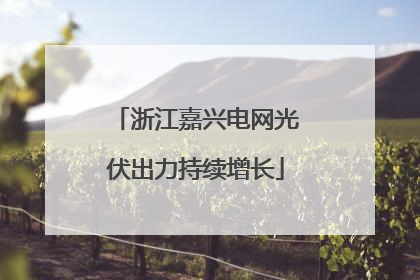 浙江嘉兴电网光伏出力持续增长