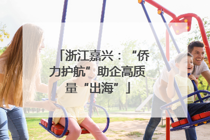 浙江嘉兴：“侨力护航”助企高质量“出海”