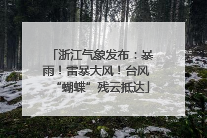 浙江气象发布：暴雨！雷暴大风！台风“蝴蝶”残云抵达