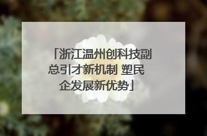 浙江温州创科技副总引才新机制 塑民企发展新优势