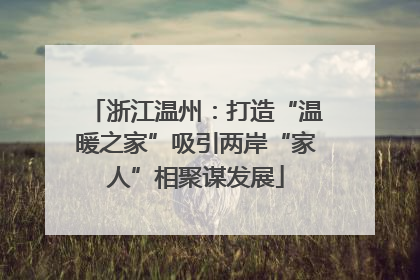 浙江温州：打造“温暖之家”吸引两岸“家人”相聚谋发展