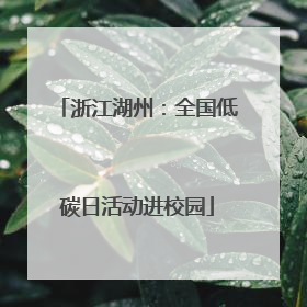 浙江湖州：全国低碳日活动进校园