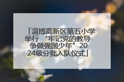 淄博高新区第五小学举行 “牢记党的教导 争做强国少年”2024级分批入队仪式