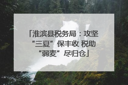 淮滨县税务局：攻坚“三夏”保丰收 税助“弱麦”尽归仓