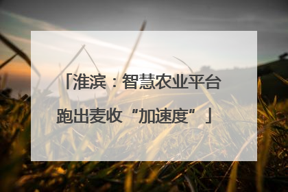 淮滨：智慧农业平台跑出麦收“加速度”