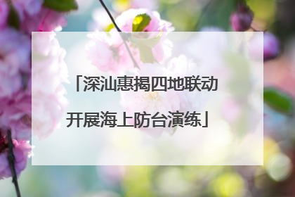 深汕惠揭四地联动开展海上防台演练