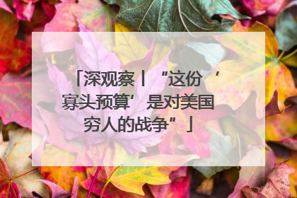 深观察丨“这份‘寡头预算’是对美国穷人的战争”