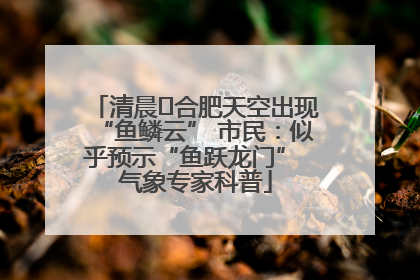 清晨﻿合肥天空出现“鱼鳞云” 市民：似乎预示“鱼跃龙门” 气象专家科普