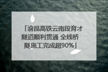 渝昆高铁云南段育才隧道顺利贯通 全线桥隧施工完成超90%