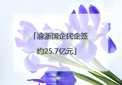 渝浙国企民企签约25.7亿元