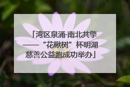 湾区泉涌·南北共擎——“花楸树”杯明湖慈善公益跑成功举办