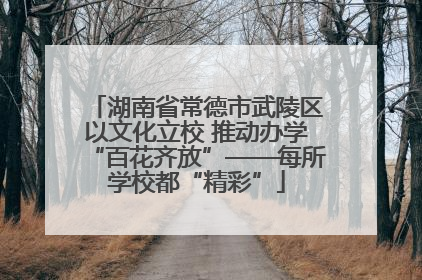 湖南省常德市武陵区以文化立校 推动办学“百花齐放”——每所学校都“精彩”