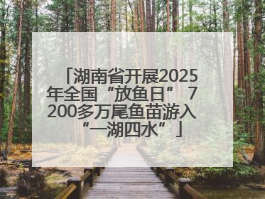 湖南省开展2025年全国“放鱼日” 7200多万尾鱼苗游入“一湖四水”
