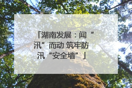 湖南发展：闻“汛”而动 筑牢防汛“安全墙”