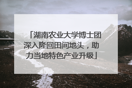 湖南农业大学博士团深入隆回田间地头，助力当地特色产业升级