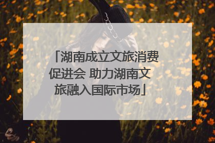 湖南成立文旅消费促进会 助力湖南文旅融入国际市场