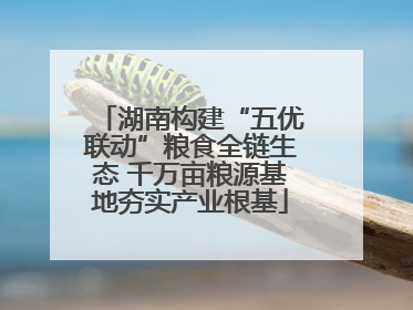 湖南构建“五优联动”粮食全链生态 千万亩粮源基地夯实产业根基