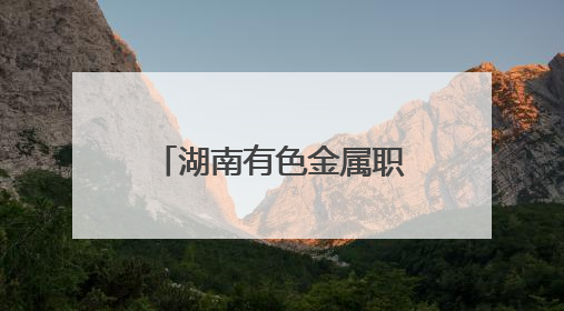 湖南有色金属职院：让红色精神在为民服务中闪耀