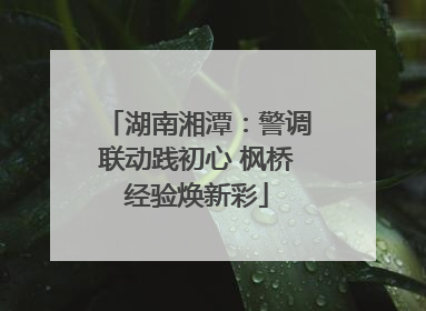 湖南湘潭：警调联动践初心 枫桥经验焕新彩