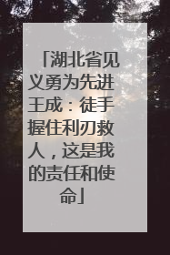湖北省见义勇为先进王成：徒手握住利刃救人，这是我的责任和使命