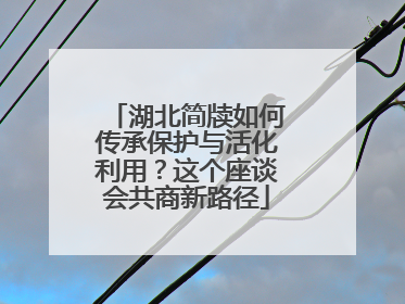 湖北简牍如何传承保护与活化利用？这个座谈会共商新路径